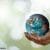 A new earth, the mass awakening of humanity